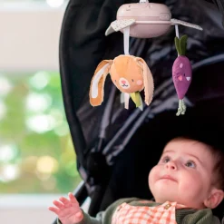 Garden Take along mobile