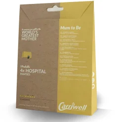 Hospital Mesh Panties (C-section and Vaginal Delivery) 4-Pack