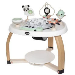 5-in-1 Activity Center - Black & White