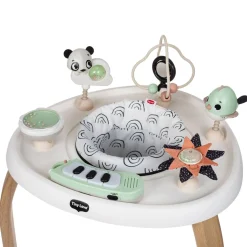 5-in-1 Activity Center - Black & White