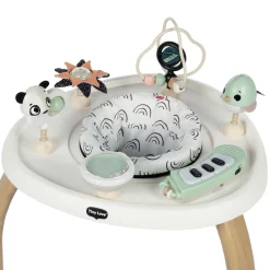 5-in-1 Activity Center - Black & White