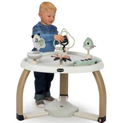 5-in-1 Activity Center - Black & White