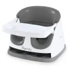 Ingenuity Baby Base 2-in-1™ Seat - Slate