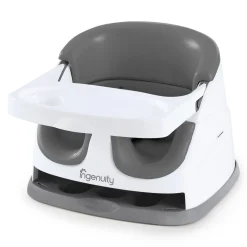 Ingenuity Baby Base 2-in-1™ Seat - Slate
