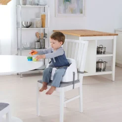 Ingenuity Baby Base 2-in-1™ Seat - Slate