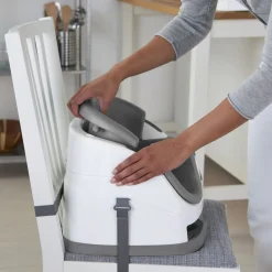 Ingenuity Baby Base 2-in-1™ Seat - Slate