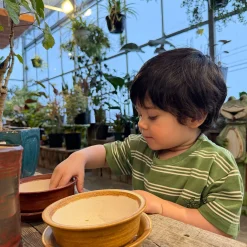 Island Striped T-shirt 2-8y