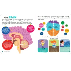 Junior Encyclopedia Of Human Body