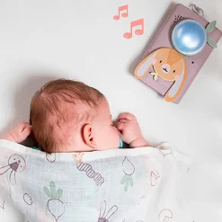 Kit Bunny Soother & Swaddle