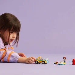 LEGO® Friends Dog-Grooming Car