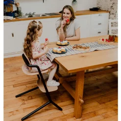 Lemo 3-in-1 High Chair + Training Tower Set