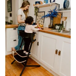 Lemo 3-in-1 High Chair + Training Tower Set