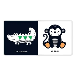 Les Animaux De La Jungle