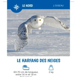 Les Animaux Du Québec