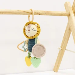 Lion Mirror Activity