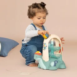 Little Smoby - Balls Turtle