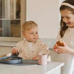 Long-sleeved Bib with integrated pocket 6-24m - Farm