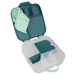 Lunch Box-emerald Forest