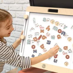 Magnetic Letters (60)