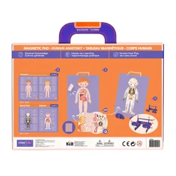 Magnetic Pad Human Anatomy