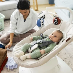 Mamaroo Swing - Charlie