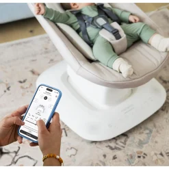 Mamaroo Swing - Wells