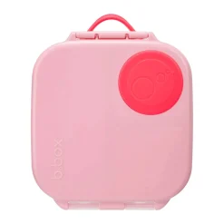 Mini Lunch Box - Flamingo Fizz