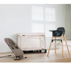 Mira 2 in 1 Bouncer and Seat - Wells