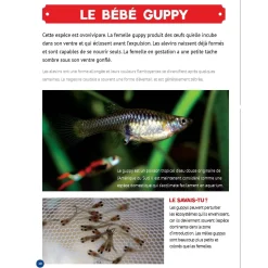 Mon Grand Animalier des Bébés