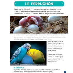 Mon Grand Animalier des Bébés