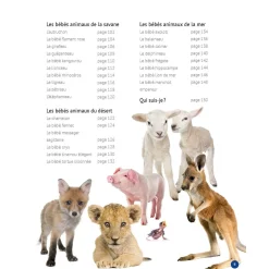 Mon Grand Animalier des Bébés