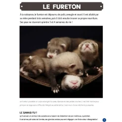 Mon Grand Animalier des Bébés