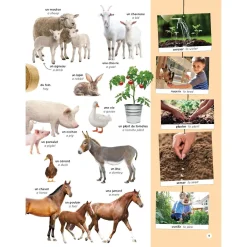 Mon Imagier Des 1000 Mots Anglais