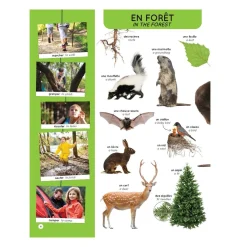 Mon Imagier Des 1000 Mots Anglais