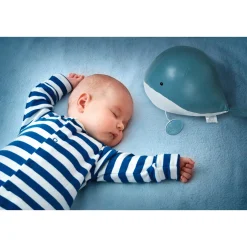 Musical Animal - Madeleine The Whale