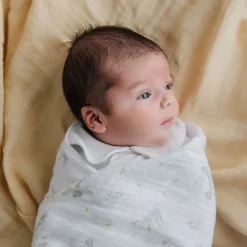 Muslin Insect Blanket