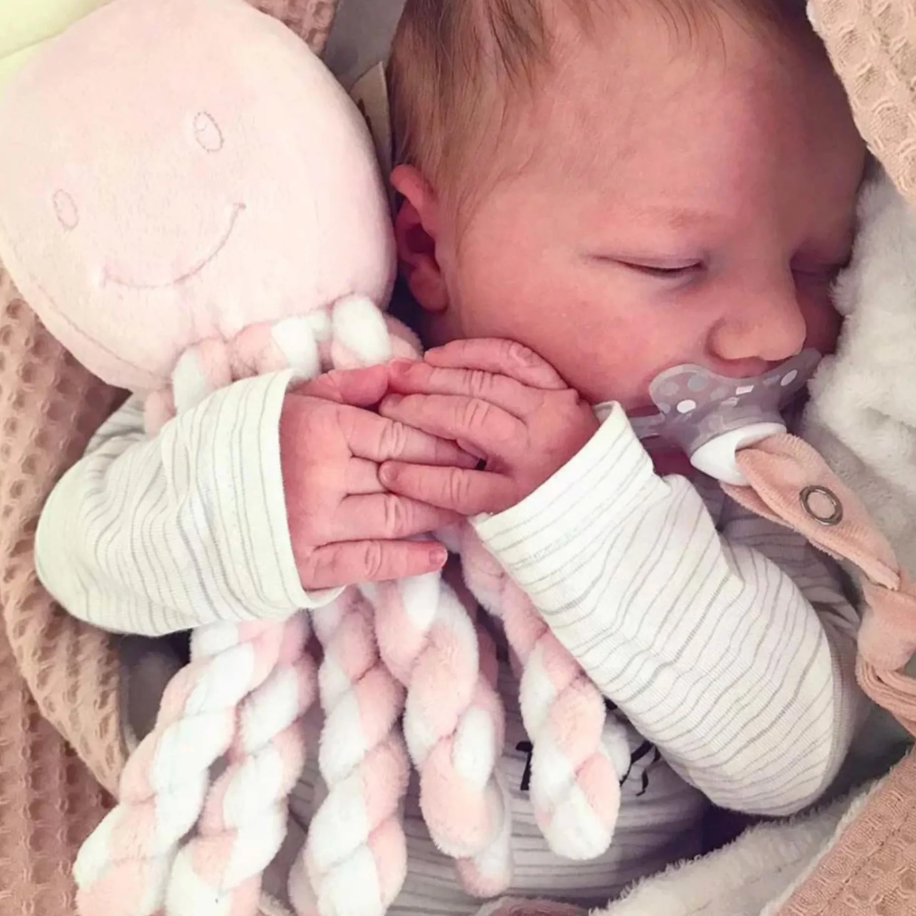 Octopus Color Coral Pink/ Light Pink