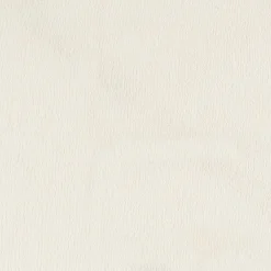 Pack Washcloths (10) Forest