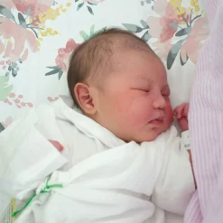 Percale Crib Sheet - Watercolour Flowers