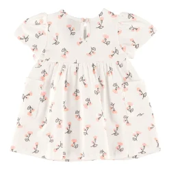 Picnic Ivory Dress 3-24m