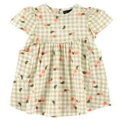 Picnic Peaches Dress 3-24m