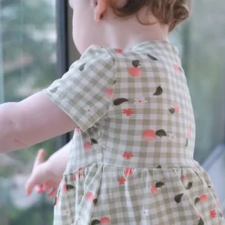 Picnic Peaches Dress 3-24m