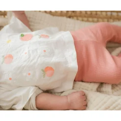 Picnic T-shirt 3-24m