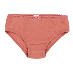 Pointelle 3pk Undies 2-12