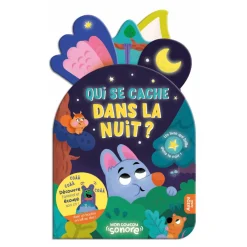 Qui Se Cache Dans La Nuit ?