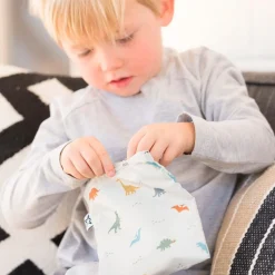 Reusable Snack Bags 5-Pack - Dinosaurs