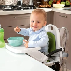 Rialto Booster Chair - Licorice