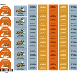 School Name Labels - Skidoo