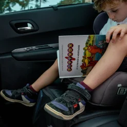 Seat Protector 3 in 1