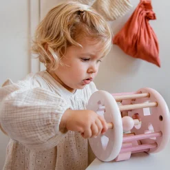 Shape Sorting Wheel -Pink